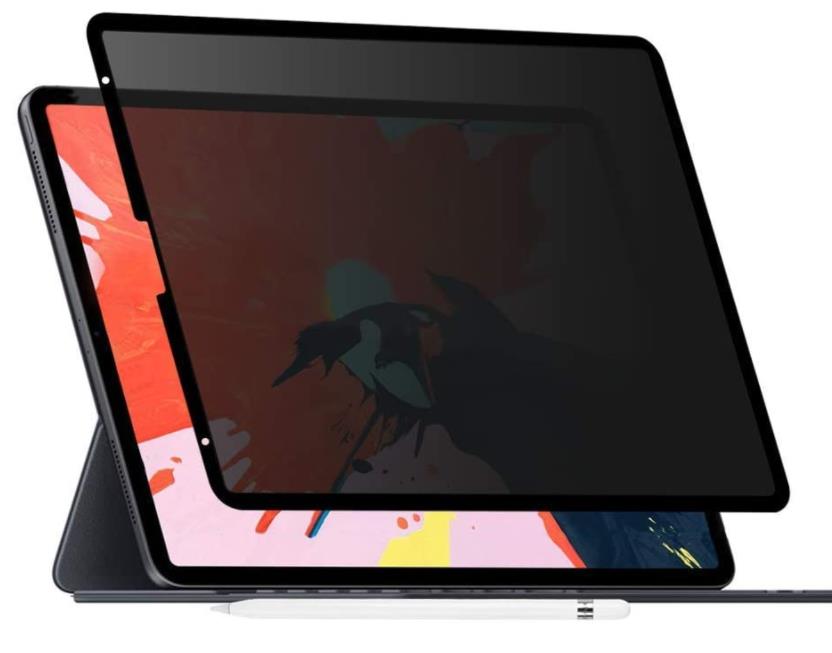 iPad Pro 11 Privacy Screen