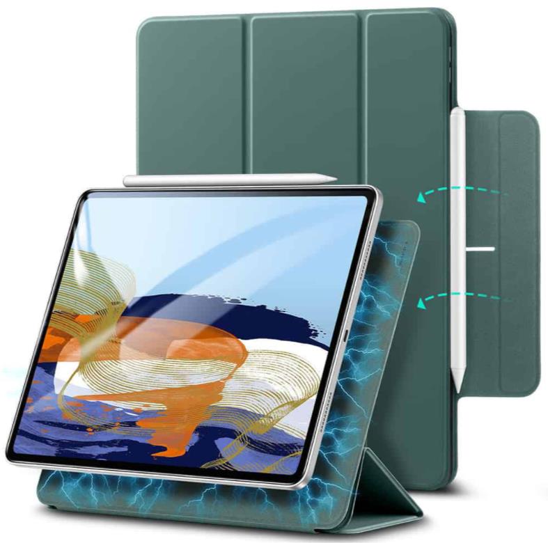 iPad Pro 11 2021 Magnetic Slim Case