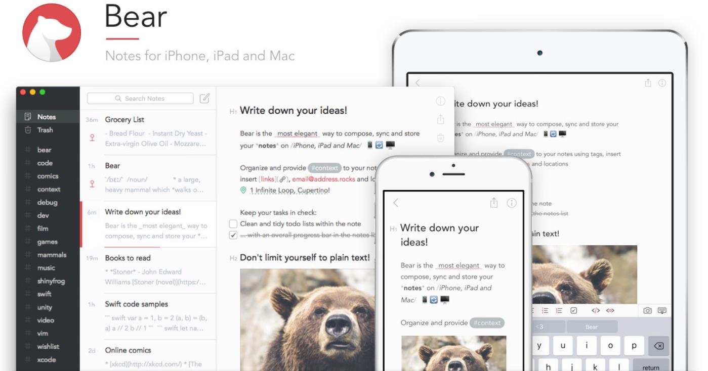 Bear App for iPad