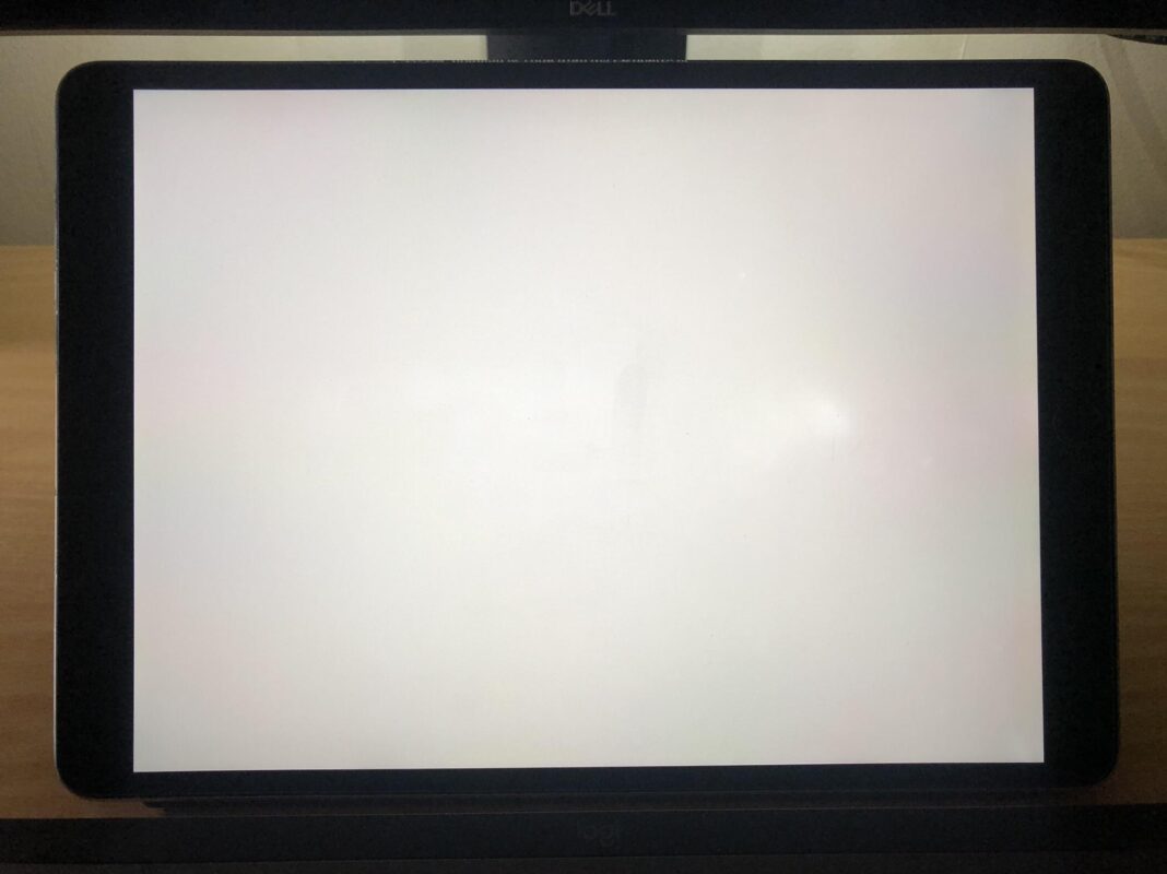 small white dot on ipad screen