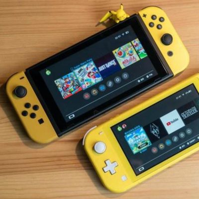 Switch Lite Protective Case