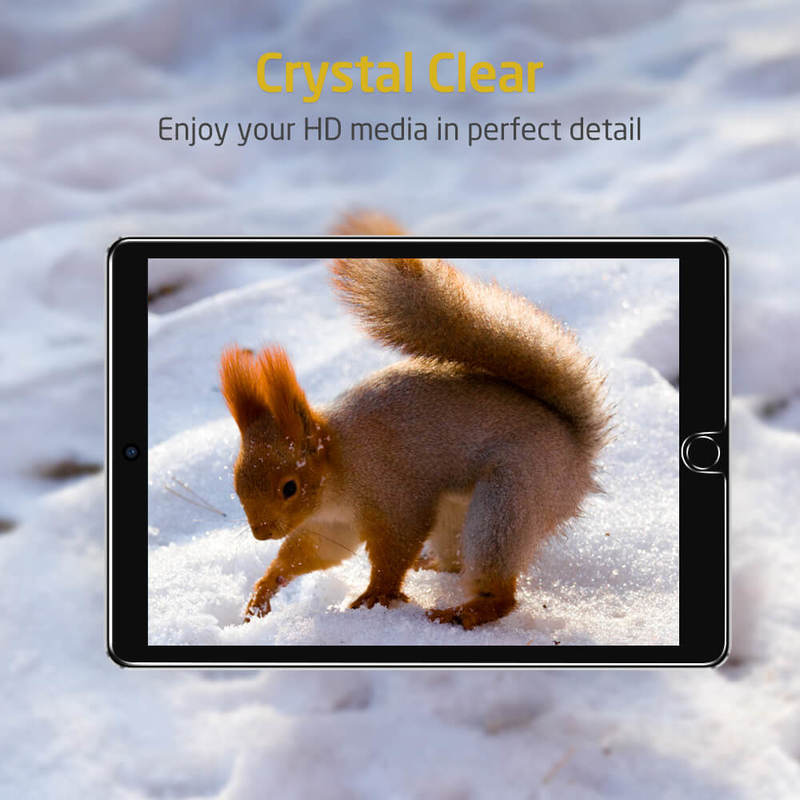 Red Squirrel in the Snow Samsung S10 Case