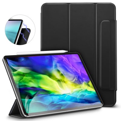 iPad Pro 11 2020 Rebound Magnetic iPad Pro Case